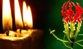 மாவீரர் வாரம் இன்று ஆரம்பம் – தமிழர் தேசமெங்கும் உணர்வெழுச்சி நிகழ்வுகள் இன்று ஆரம்பம்